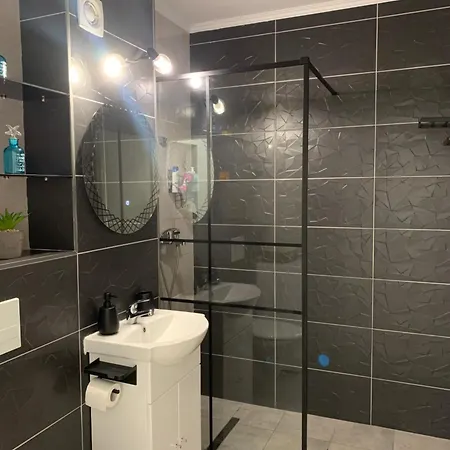 Fabri's 아파트 브라쇼브