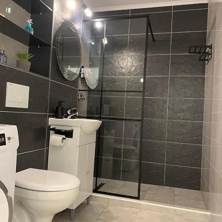 Fabri's * 브라쇼브