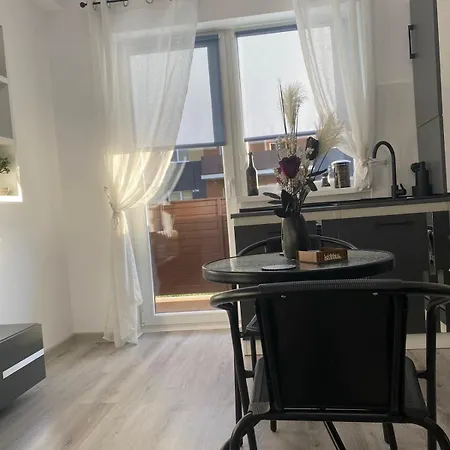 Fabri's 아파트 브라쇼브